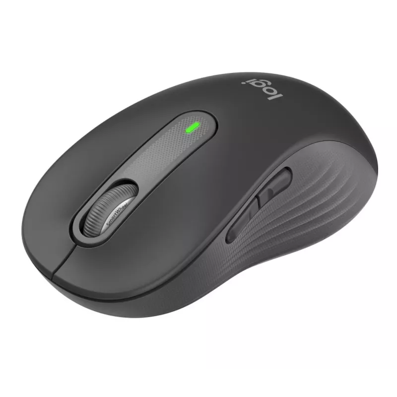 Pelytė Logitech Signature M650 L RF belaidė + Bluetooth