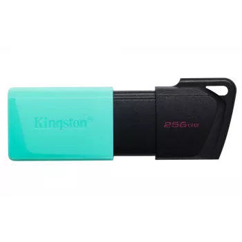 Kingston DataTraveler 256GB USB 3.2 Gen 1 Exodia M (juoda + žalsva)
