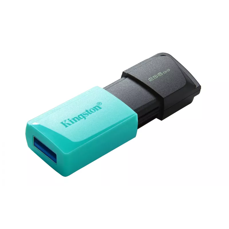 Kingston DataTraveler 256GB USB 3.2 Gen 1 Exodia M (juoda + žalsva)