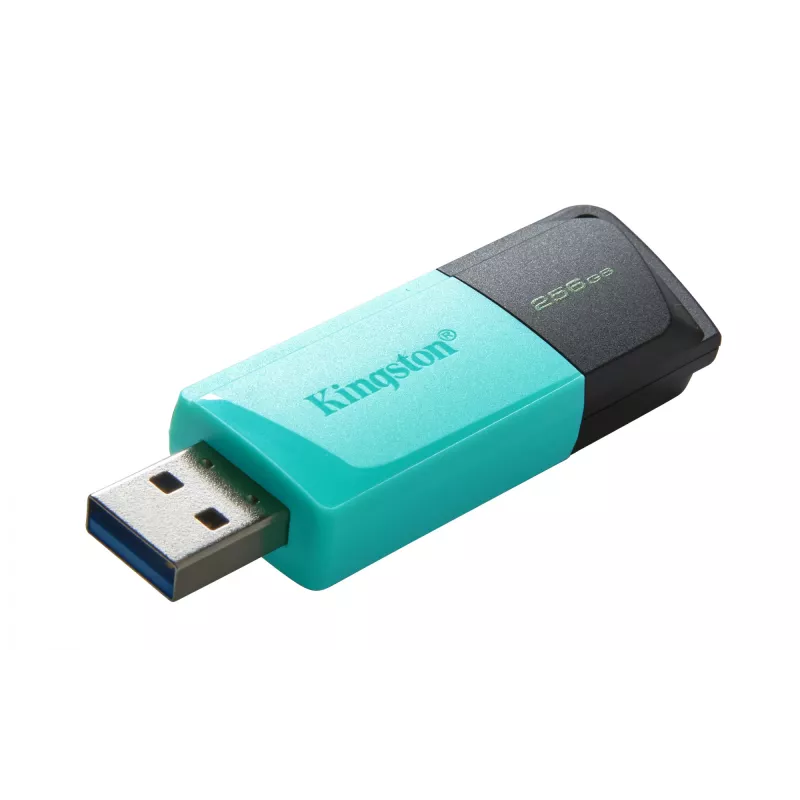 Kingston DataTraveler 256GB USB 3.2 Gen 1 Exodia M (juoda + žalsva)