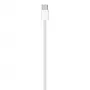 APPLE USB-C įkrovimo laidas (1 m)
