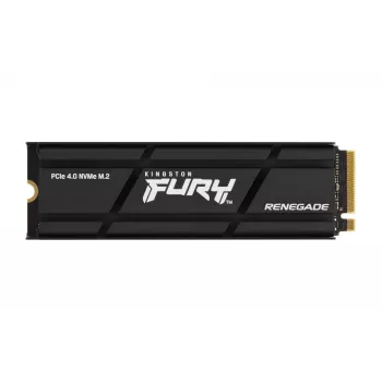 Kingston Technology 1000G RENEGADE PCIe 4.0 NVMe SSD su radiatoriumi
