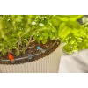 Lašelinė laistymo sistema Gardena 13400-20, žarnos ilgis 15 m, juoda/žalia
