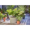 Lašelinė laistymo sistema Gardena 13400-20, žarnos ilgis 15 m, juoda/žalia