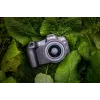 Canon EOS R8 + RF 24-50mm F4.5-6.3 IS STM komplektas, 24,2 MP, 6000 x 4000 pikselių, CMOS, 4K Ultra HD, liečiamasis ekranas, juoda