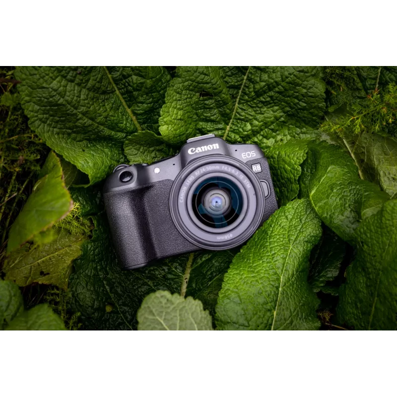 Canon EOS R8 + RF 24-50mm F4.5-6.3 IS STM komplektas, 24,2 MP, 6000 x 4000 pikselių, CMOS, 4K Ultra HD, liečiamasis ekranas, juoda