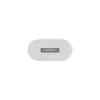 APPLE Lightning Adapter - 24pin USB-C vyriškas į Lightning moterišką