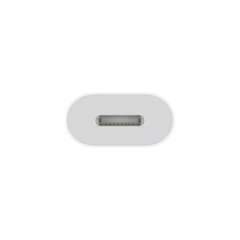 APPLE Lightning Adapter - 24pin USB-C vyriškas į Lightning moterišką