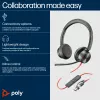 HP Poly Blackwire 8225 Stereo Microsoft Teams sertifikuotos ausinės su USB-C jungtimi ir USB-C/A adapteriu