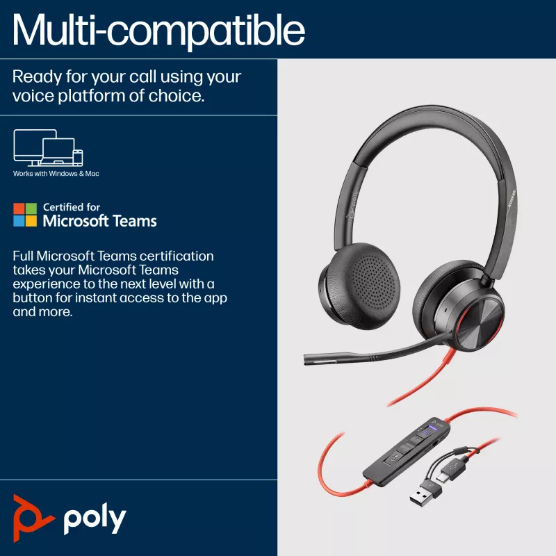 HP Poly Blackwire 8225 Stereo Microsoft Teams sertifikuotos ausinės su USB-C jungtimi ir USB-C/A adapteriu