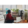 HP Poly Blackwire 3320 Stereo USB-C ausinės su USB-C/A adapteriu, sertifikuotos Microsoft Teams