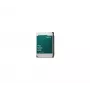 SYNOLOGY Hat331012t 12TB SATA 6Gb/s 3,5 inch 7200 aps./min. kietasis diskas