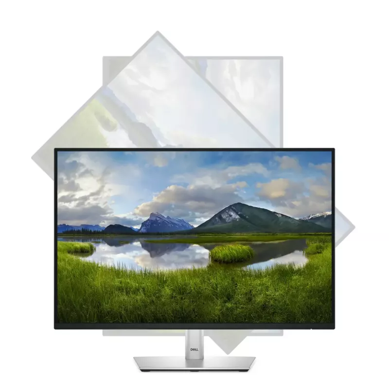 DELL Pro Plus P2425 monitor 61,1 cm (24,1 colio) 1920 x 1200 pikselių WUXGA LCD juodas