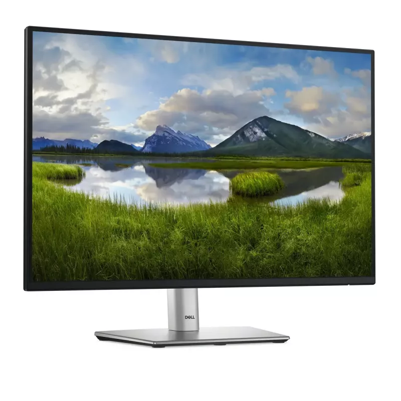 DELL Pro Plus P2425 monitor 61,1 cm (24,1 colio) 1920 x 1200 pikselių WUXGA LCD juodas