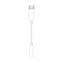 APPLE USB-C į 3,5 mm ausinių adapteris
