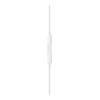 Ausinės Apple EarPods su USB-C jungtimi