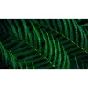 Philips 5000 serijos 24B2G5301/00 kompiuterio monitorius 60.5 cm (23.8 colio) 1920 x 1080 pikselių Full HD LCD juodas