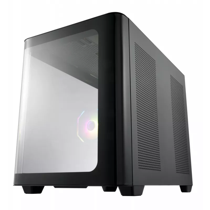 FSP S380-BA kompiuterio korpusas Mini Tower mITX, mATX juodas ARGB