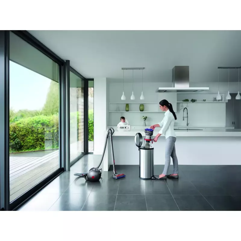 Cikloninis dulkių siurblys Dyson Big Ball Parquet 2