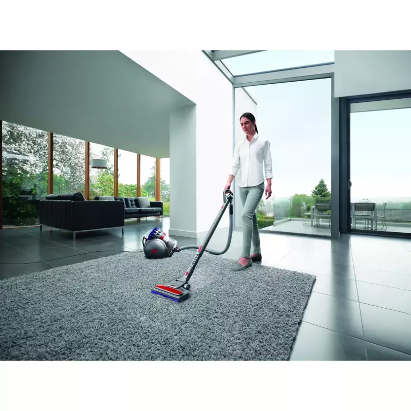 Cikloninis dulkių siurblys Dyson Big Ball Parquet 2