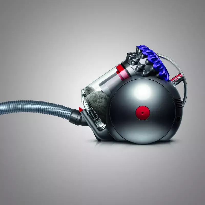 Cikloninis dulkių siurblys Dyson Big Ball Parquet 2