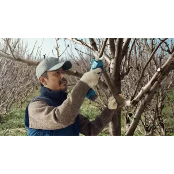Bosch Pro Pruner Professional belaidė žoliapjovė 2,5 cm 12 V Ličio jonų (Li-Ion) mėlyna