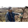 Bosch Pro Pruner Professional belaidė žoliapjovė 2,5 cm 12 V Ličio jonų (Li-Ion) mėlyna