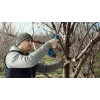 Bosch Pro Pruner Professional belaidė žoliapjovė 2,5 cm 12 V Ličio jonų (Li-Ion) mėlyna