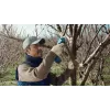 Bosch Pro Pruner Professional belaidė žoliapjovė 2,5 cm 12 V Ličio jonų (Li-Ion) mėlyna