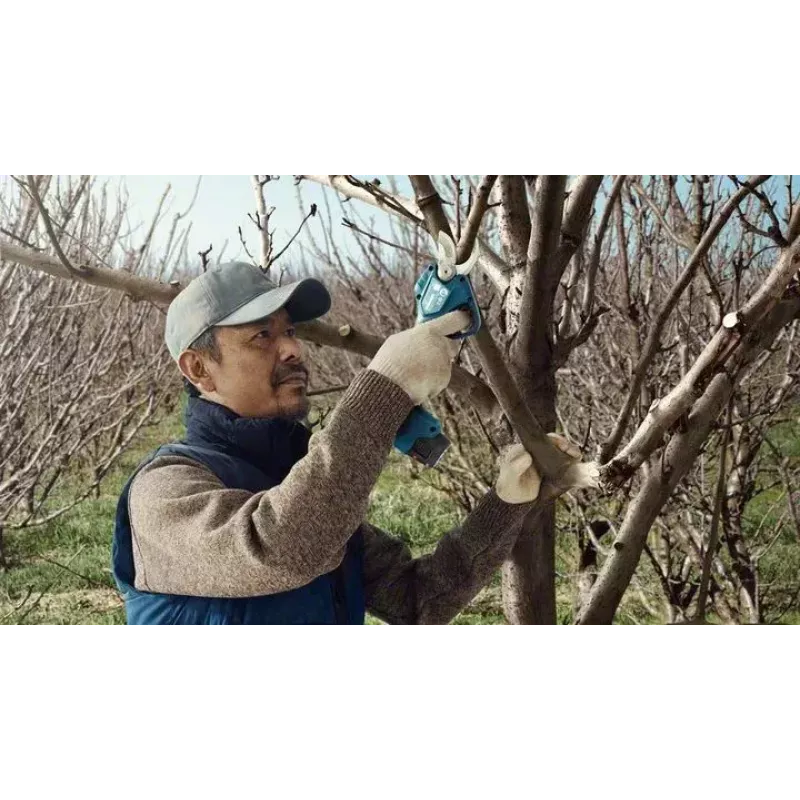 Bosch Pro Pruner Professional belaidė žoliapjovė 2,5 cm 12 V Ličio jonų (Li-Ion) mėlyna