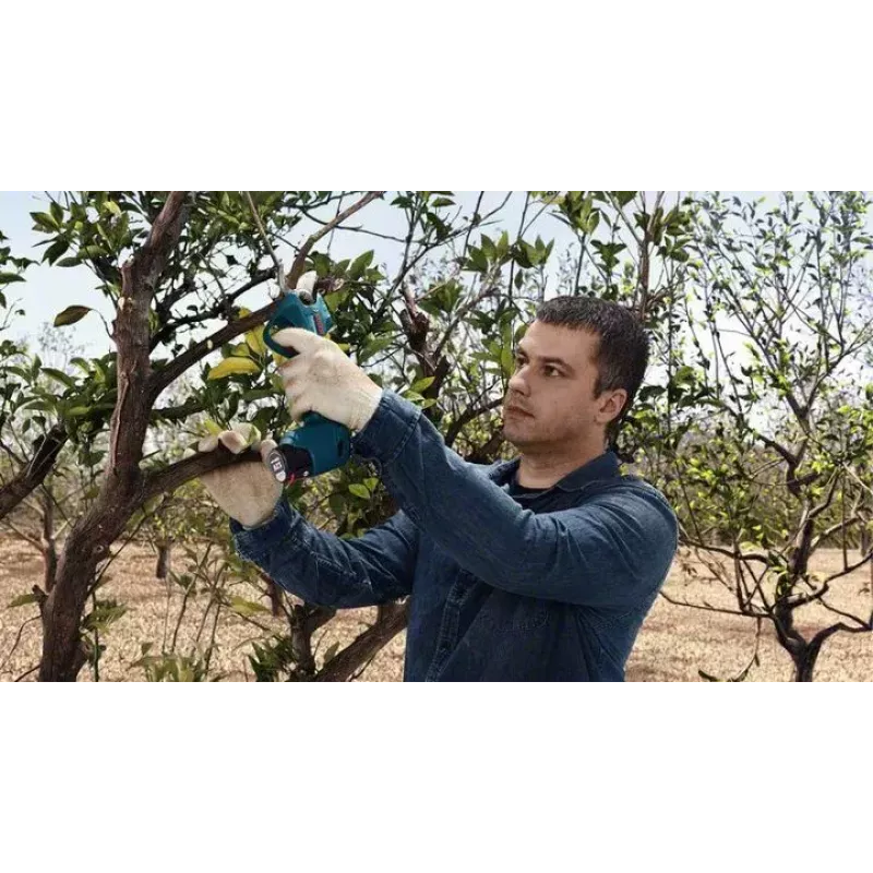 Bosch Pro Pruner Professional belaidė žoliapjovė 2,5 cm 12 V Ličio jonų (Li-Ion) mėlyna