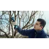 Bosch Pro Pruner Professional belaidė žoliapjovė 2,5 cm 12 V Ličio jonų (Li-Ion) mėlyna