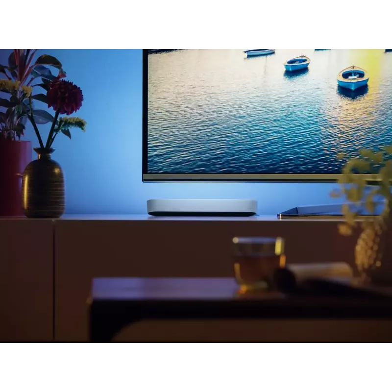 Philips Hue White and colour ambience Play šviesos juosta dviejų vienetų rinkinys