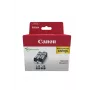 Kasetė Canon 2932B019 PGI-520 dviejų pakuotė juoda