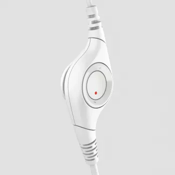 LOGITECH ausinės H390 su mikrofonu, USB-A, balta