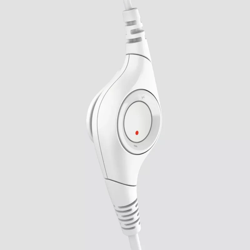 LOGITECH ausinės H390 su mikrofonu, USB-A, balta