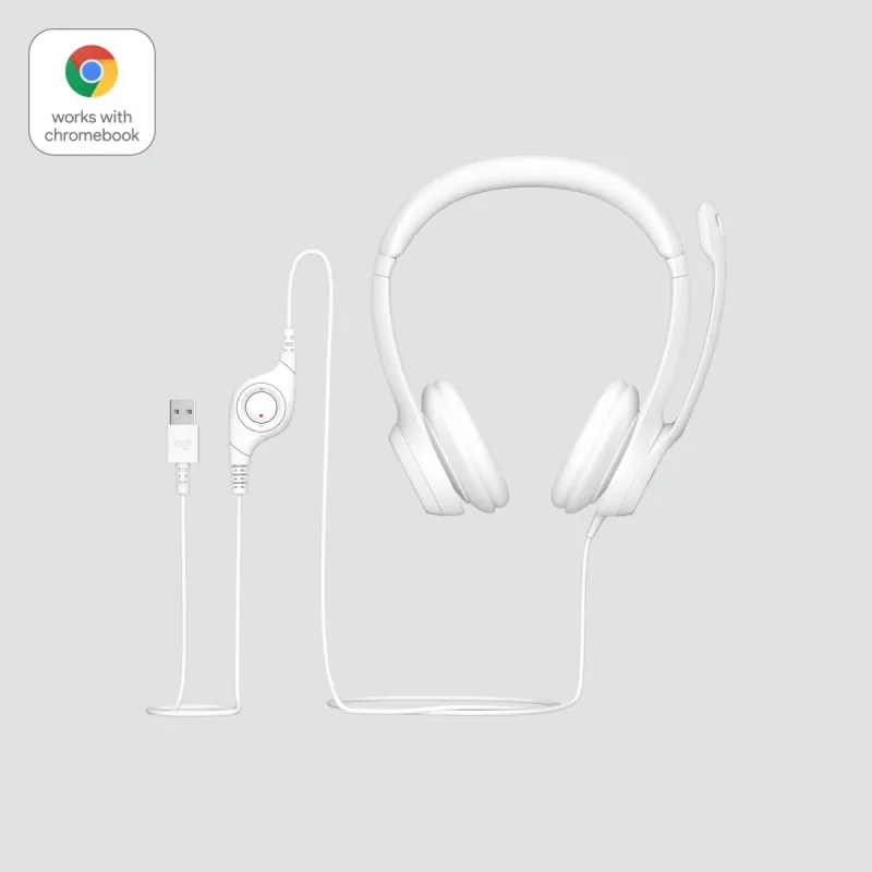 LOGITECH ausinės H390 su mikrofonu, USB-A, balta