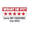 Sony WF-1000XM5 Ausinės Belaidės Įterpiamos Skambučiai/Muzika Bluetooth Sidabrinės