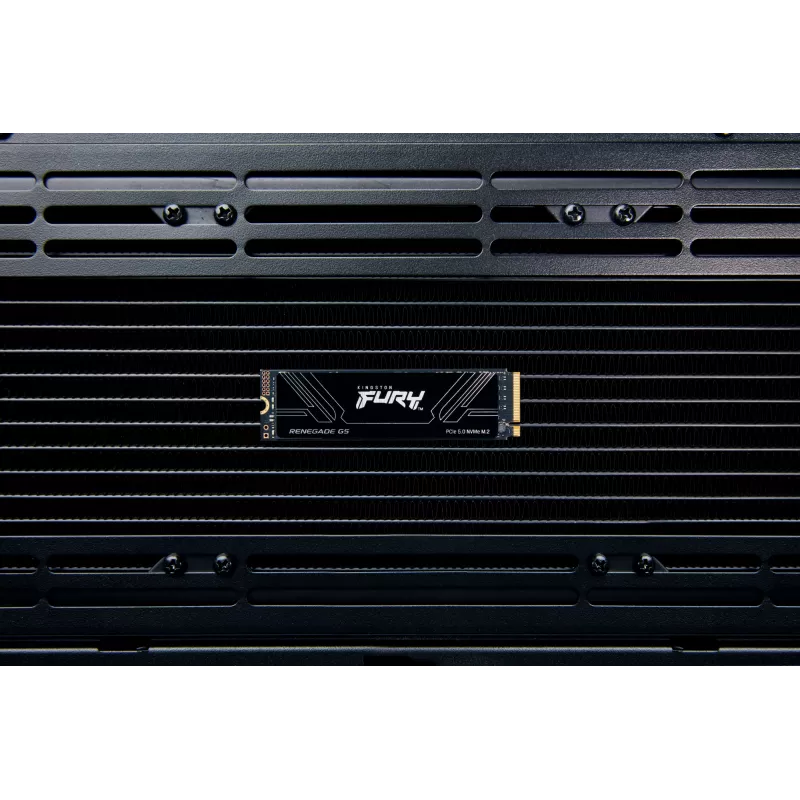 SSD diskas Kingston Technology 4TB M.2 2280 NVMe FURY RENEGADE G5