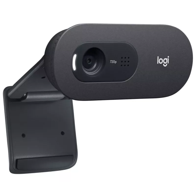 LOGITECH C505e internetinė kamera USB juoda