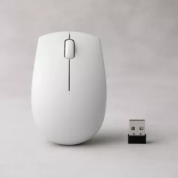 Belaidė kompaktinė pelė Lenovo Compact Mouse su baterija – ambidekstrinė, 1000 DPI, RF belaidė, 3 mygtukai, pilka