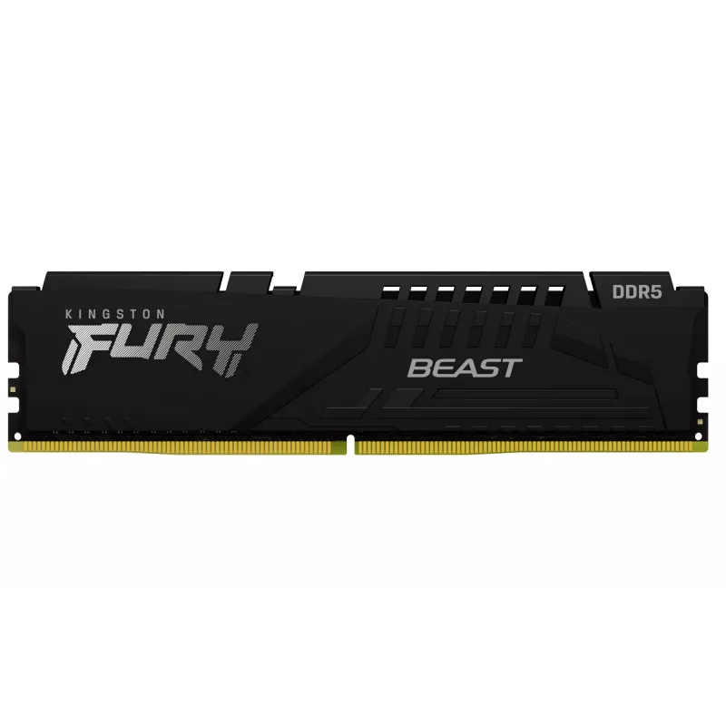 Kingston Technology FURY Beast 16 GB 6000 MT/s DDR5 CL30 DIMM juoda EXPO