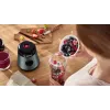 Bosch VitaPower MMB2111S blenderis stalinis 0,6 L 450 W sidabrinis