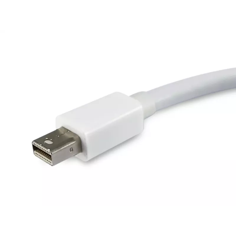 Adapteris Mini DisplayPort į DisplayPort Equip 133440