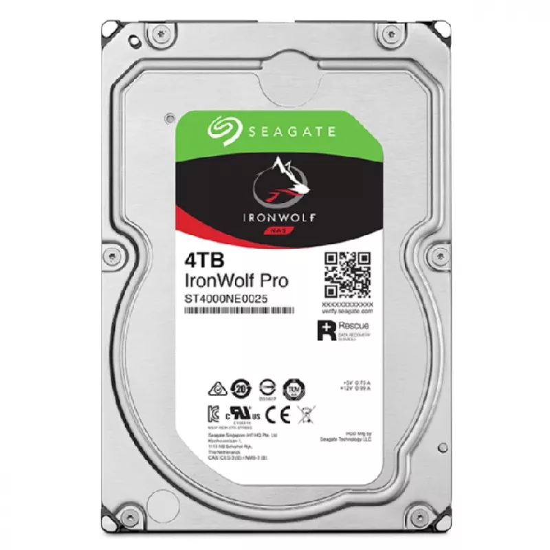 Seagate IronWolf Pro ST4000NT001 vidinis kietasis diskas 4 TB 7200 RPM 256 MB 3,5 colio