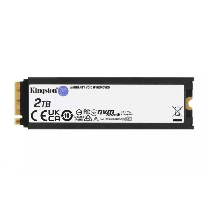 Kingston Technology 2000G RENEGADE PCIe 4.0 NVMe SSD su radiatoriumi
