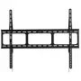 Techly sieninis laikiklis LED LCD TV 42-80 inch Ultra Slim fiksuotas H600mm ICA-PLB 860