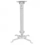 Techly lubinis projektoriaus laikiklis su prailginimu 545–900 mm sidabrinis ICA-PM 18M