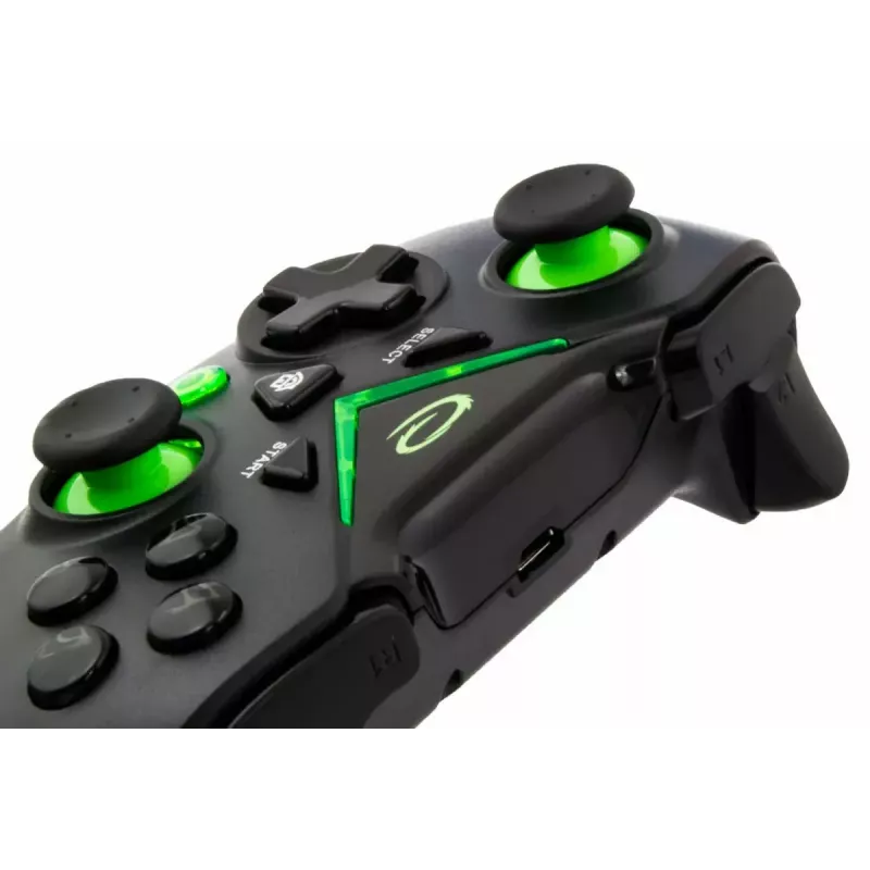 Belaidis žaidimų pultas ESPERANZA EGG112K 2.4GHz PC ir PS3, USB imtuvas, juodas, 12 mygtukų, analoginiai svirtelės