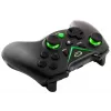 Belaidis žaidimų pultas ESPERANZA EGG112K 2.4GHz PC ir PS3, USB imtuvas, juodas, 12 mygtukų, analoginiai svirtelės